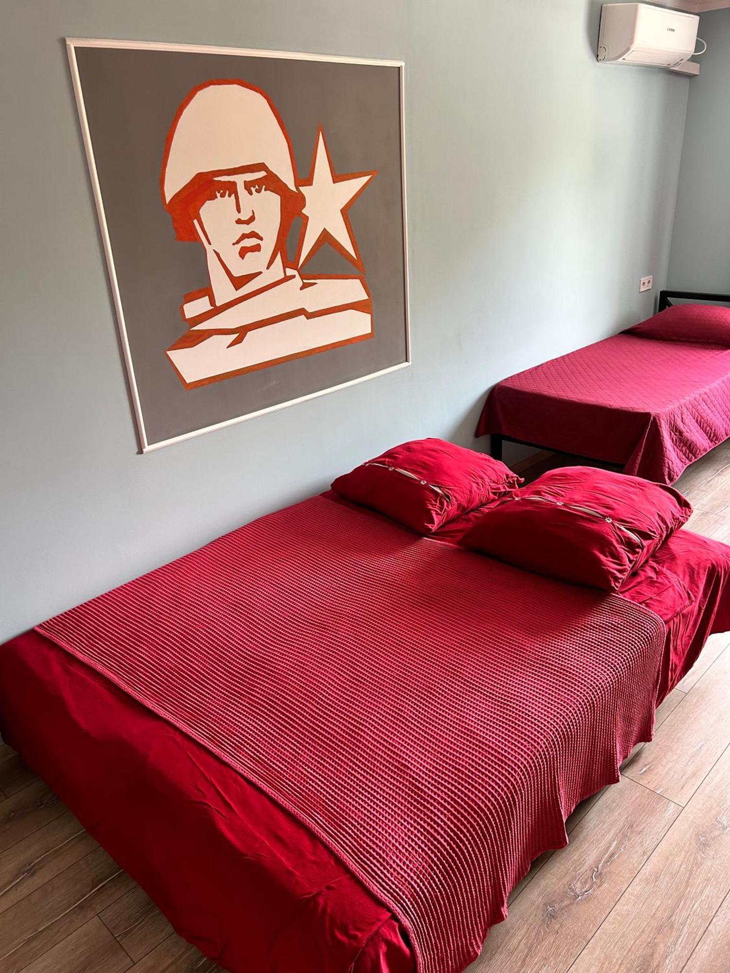 Lenin Street Hostel & Tours 蒂拉斯波尔 外观 照片